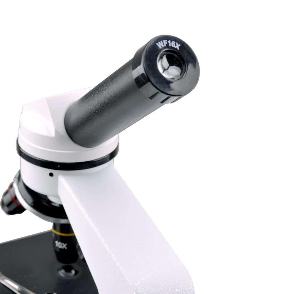 Microscope WF16X Microscope Eyepiece Installation Size Φ23mm (0.905 ")