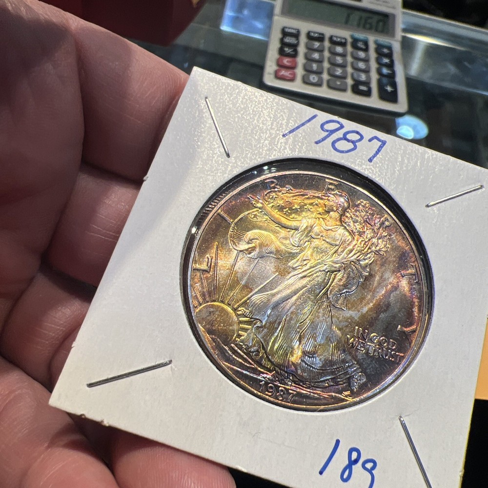 1987 American Silver Eagle 1 oz .999 Silver - Beautiful Obverse & Reverse Toning