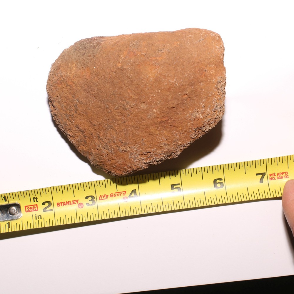 Agate Agatized Dinosaur End Bone Fossil - from Hell Creek Formation Cretaceous
