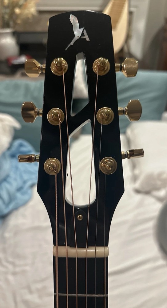 Avian guitar 4A