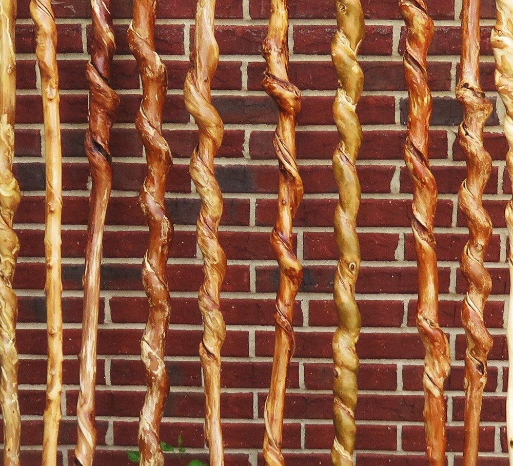 Vine Curled Walking Sticks (Ebay)