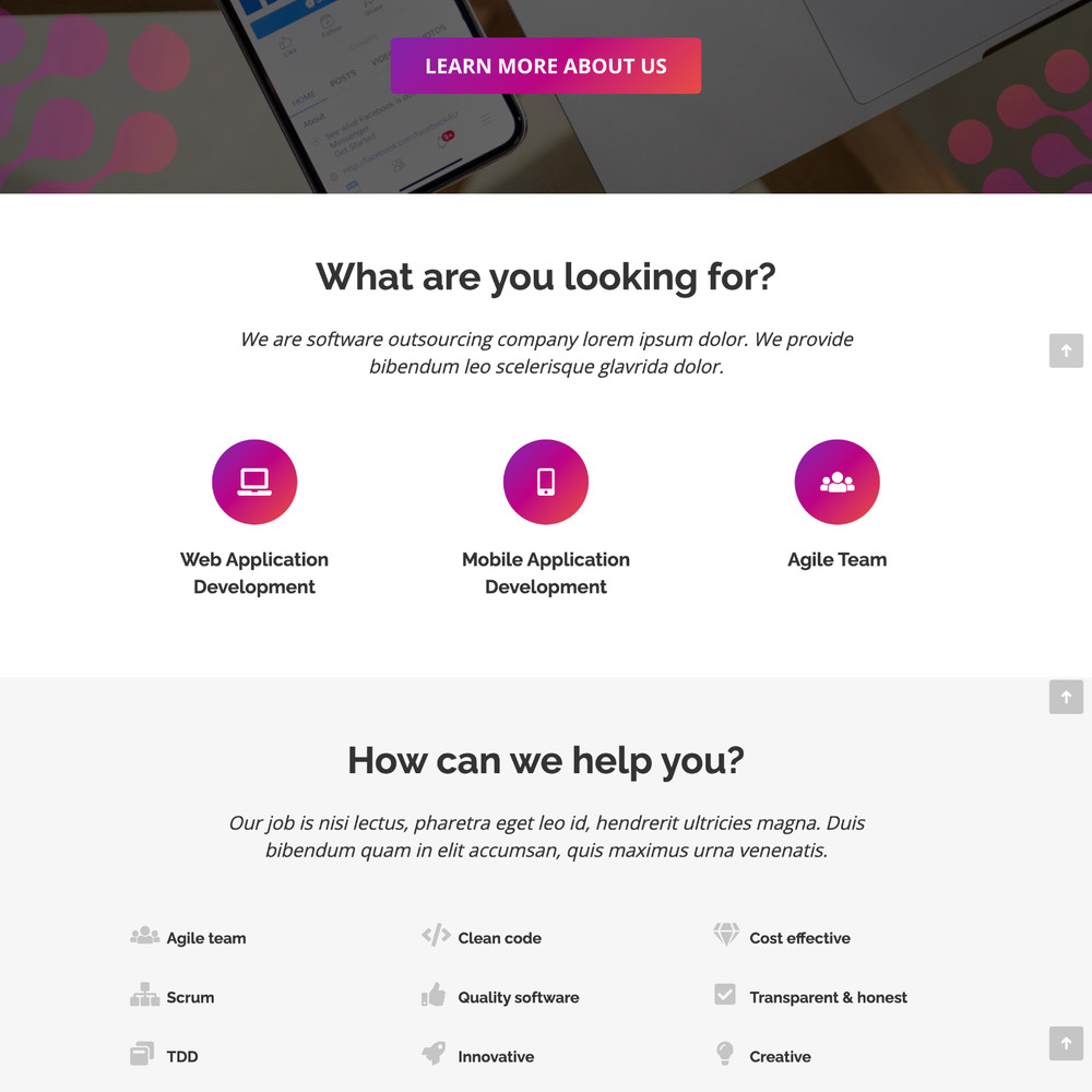 Software Company Website Design with Free VPS Web Hosting and Installation