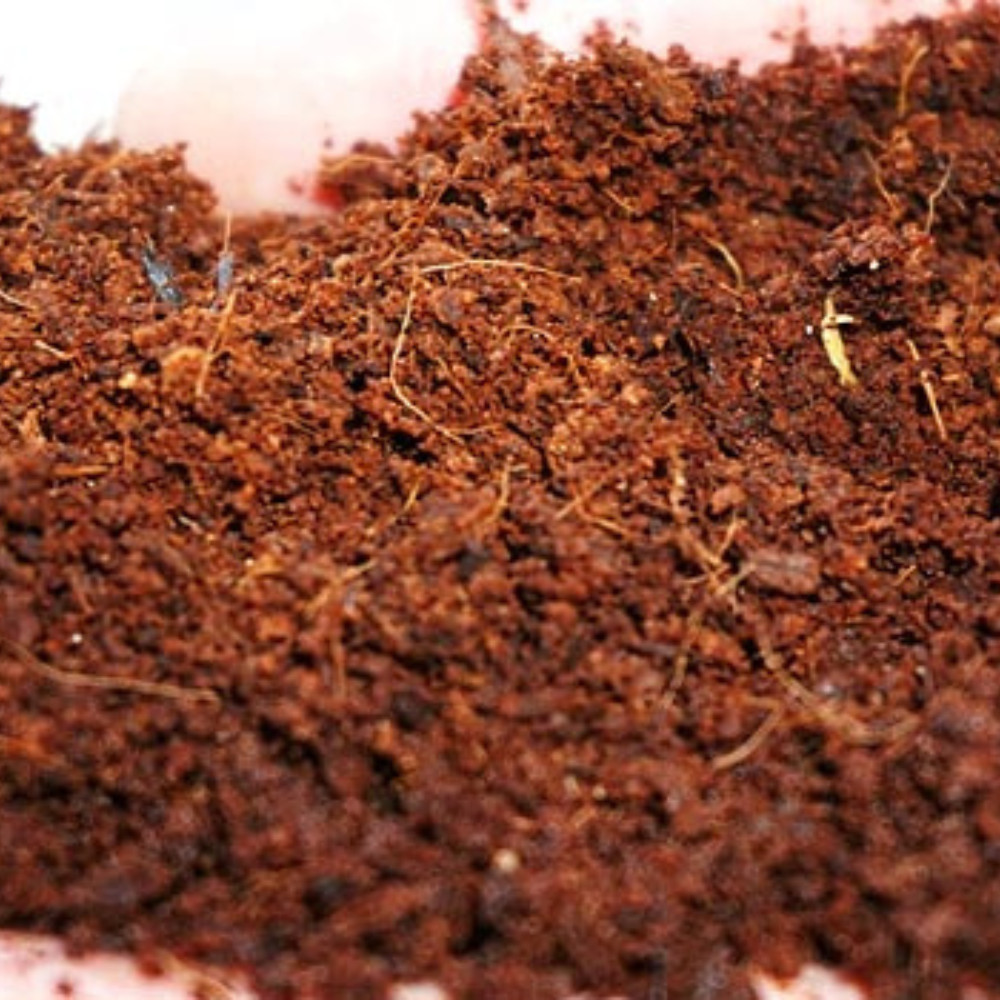 COCO COIR COCO PEAT 100% ORGANIC COMPOST HYDROPONIC GROWING MEDIA 100g
