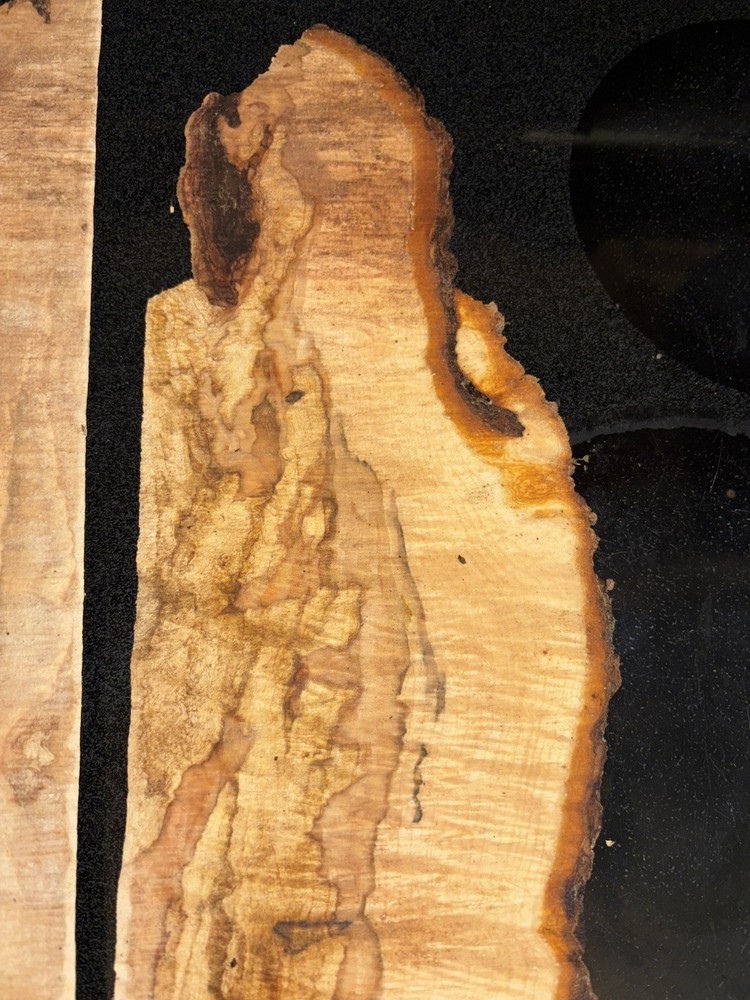 Curly Maple Slabs - 2 Pc Craft Bundle #2085
