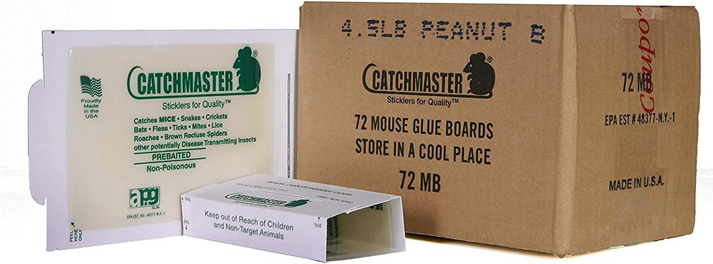 72 Mouse Insect Glue Boards 72Mb Mice Roach Spider Flea Sticky Tr"