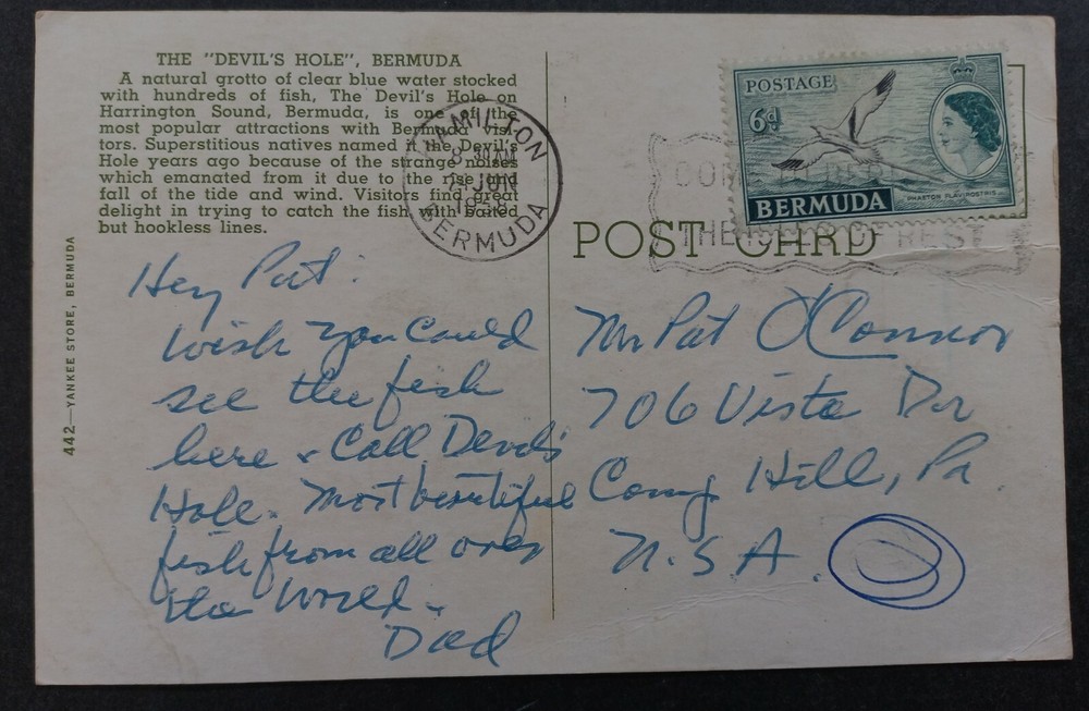 1958 Bermuda Postcard-The Devils Hole ties 6d Stamp cd Hamilton