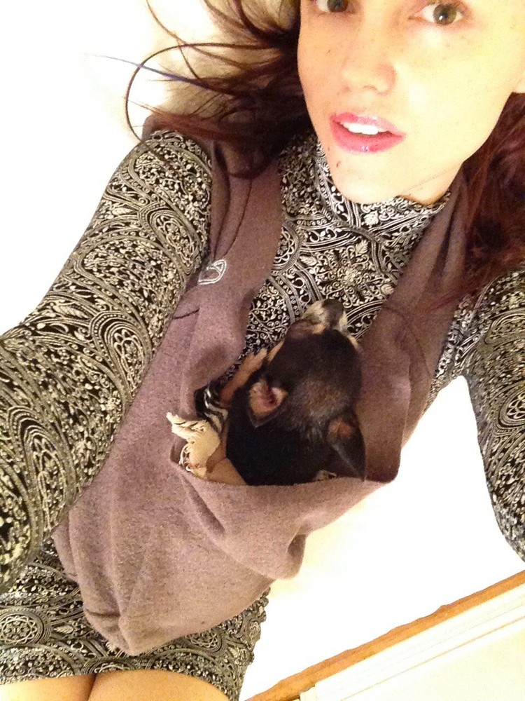 Heartpup Dog Sling