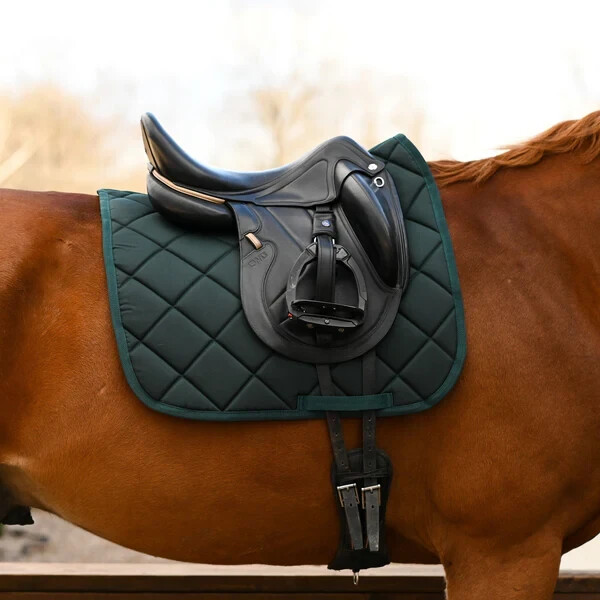 dreamers & schemers  Hunter Green Saddle Pad
