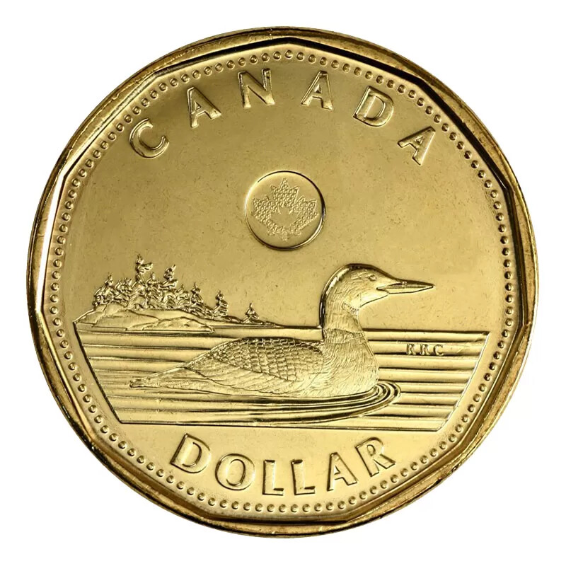 Canada 2013 $1 Common Loon Security Dollar Coin Brilliant Uncirculated