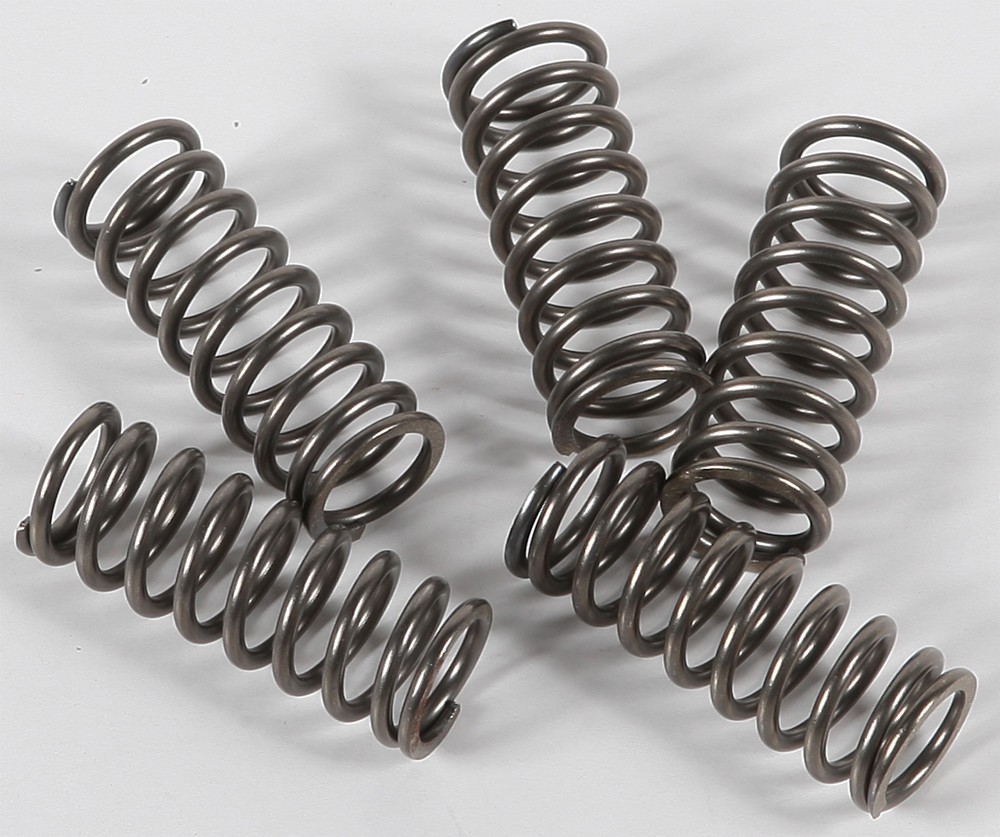 EBC Clutch Spring Set - Clutch Springs - CSK156