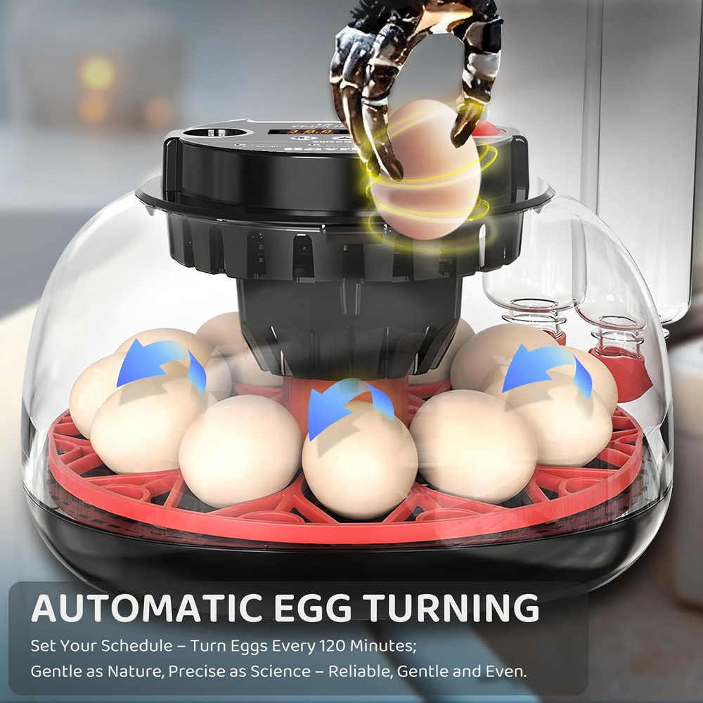 12 Egg Incubator for Hatching Eggs with Fully Automatic Egg Turning, Humidity Co