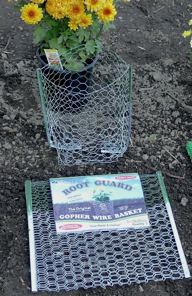 Gopher Guard, 1 gallon Gopher Baskets, Protect your plants, 12 quantity
