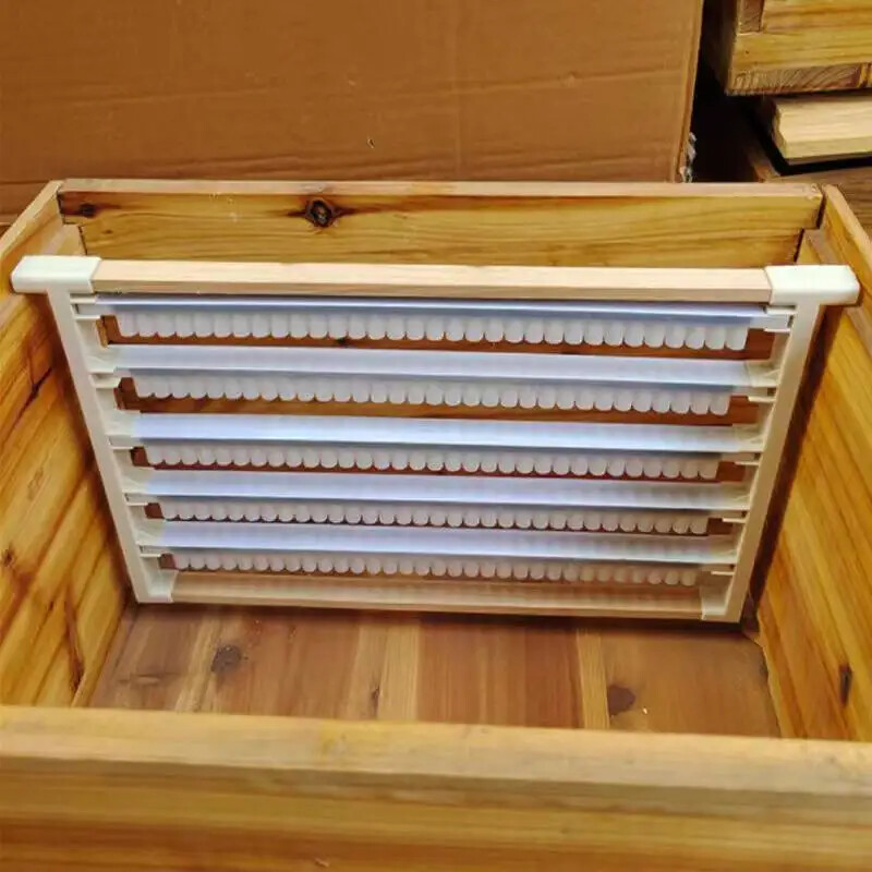 Breeding Frames Plastic Chinese Bee Italian Bee Bees Specialized High Quality