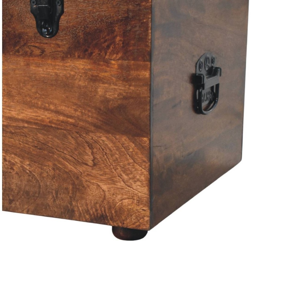 Black Buffalo Leather Storage Trunk