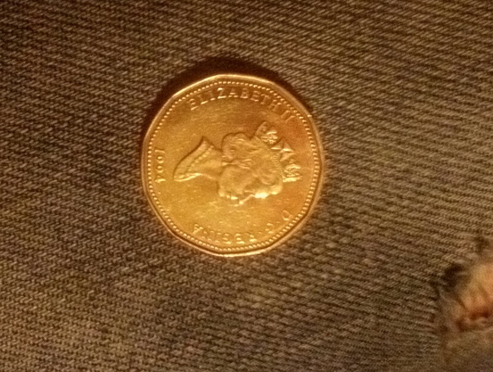 Elizabeth 11 1994 Gold Dollar Coin