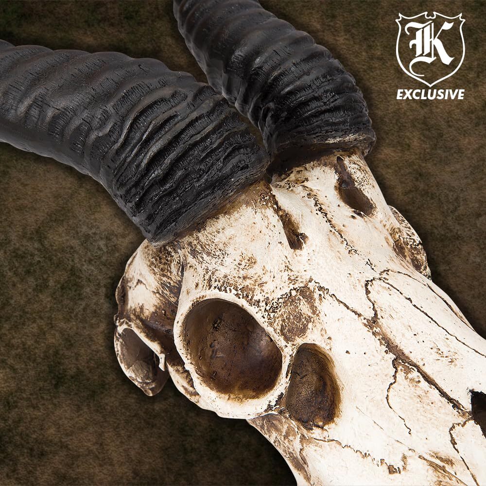 African Springbok Antelope Skull Replica | Cold Cast Polyresin