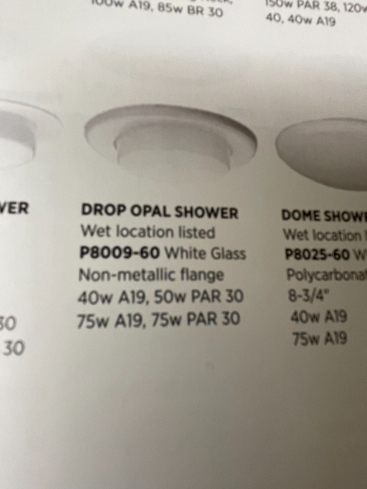 P8009-60 Progress Lighting Drop Opal Shower Trim