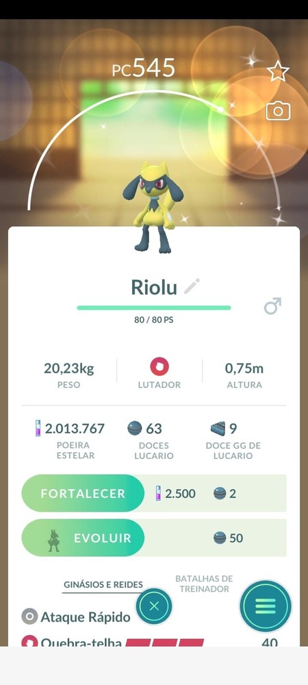 Riolu ✨Shiny ✨pokemon GO