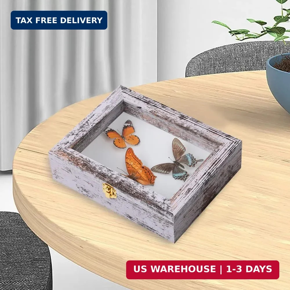 IHEIPYE Insect Display Case Wall Mount Bug Display Case with Anti Fade UV Protec