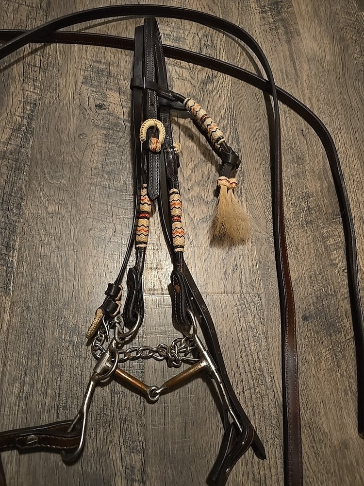 western bridle and reins