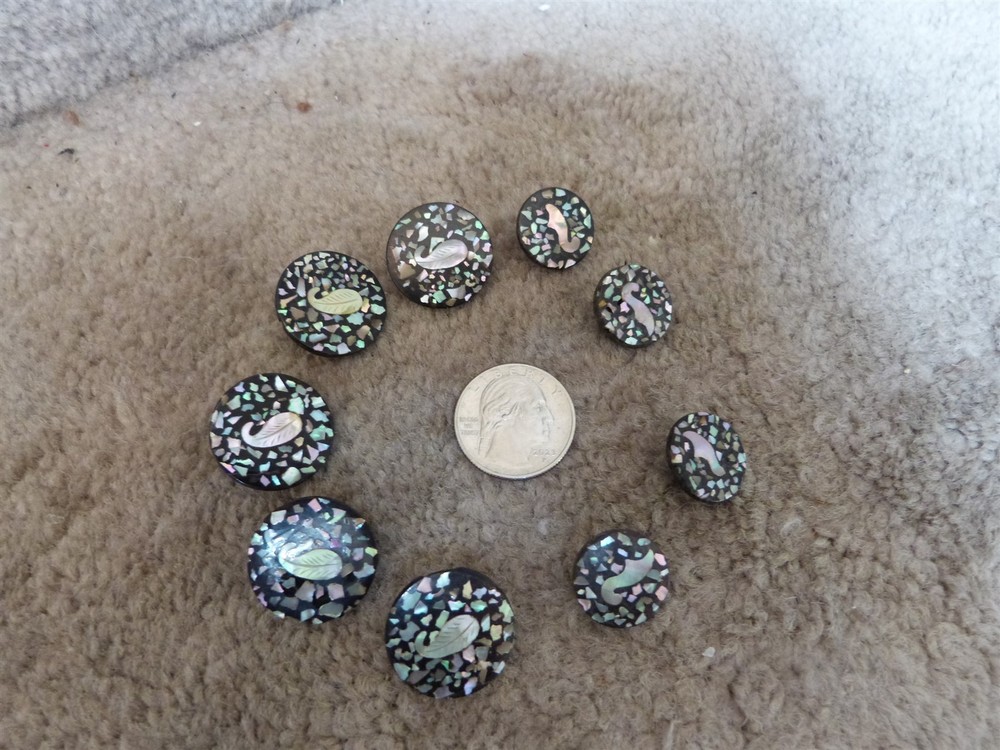 VTG matching composition abalone flake confetti leaf button lot diff sizes #101