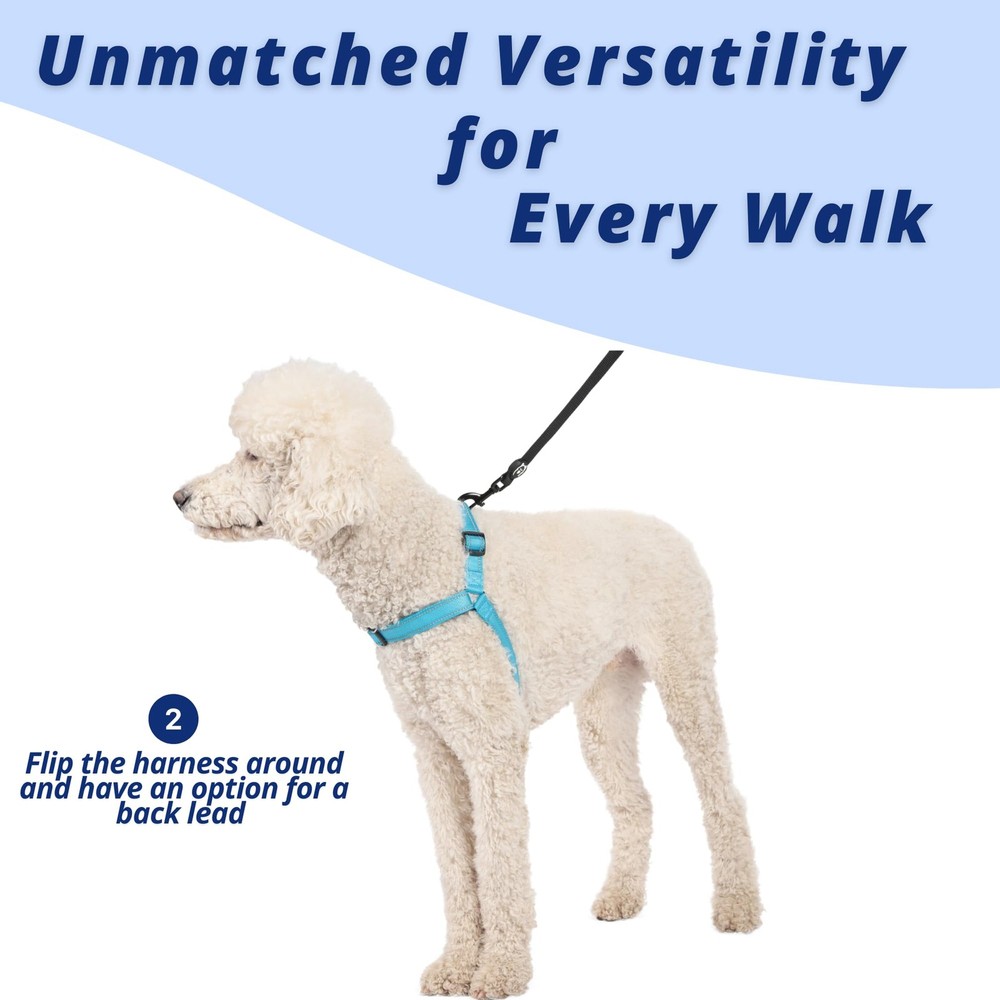 Small Midnight Dream Walk Pro Dog Harness No Pull Adjustable Pet Halter