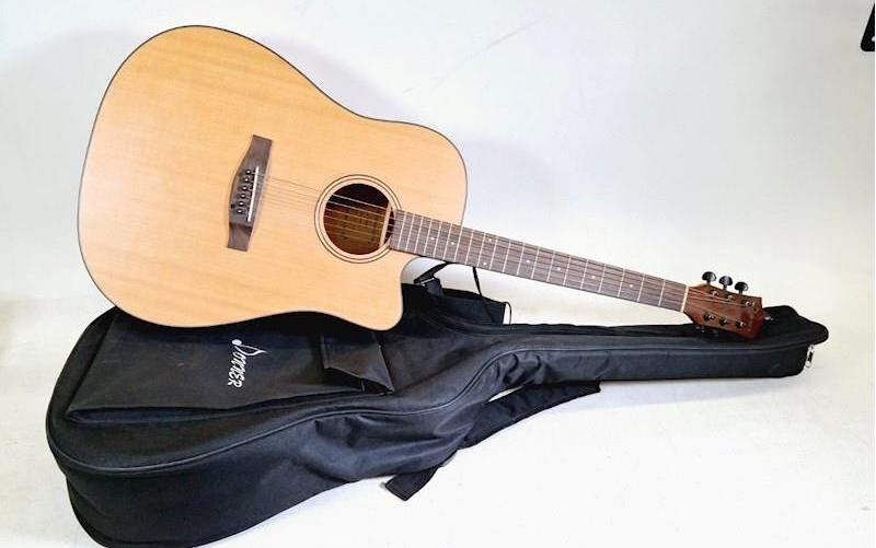 Donner DAG-1C Acoustic Guitar
