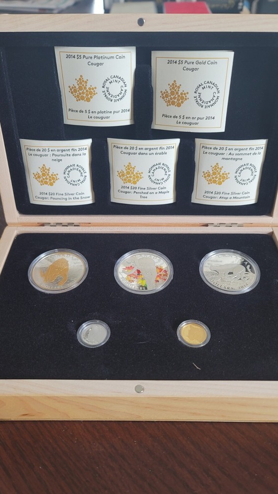 2014 RCM Cougar Set In Case