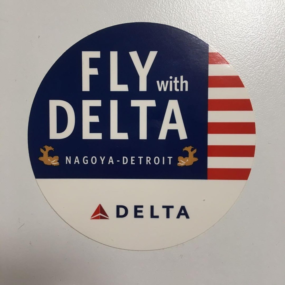 Delta Airlines Set