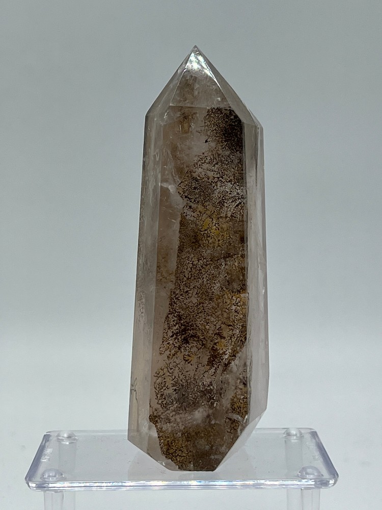 Dendritic Quartz F