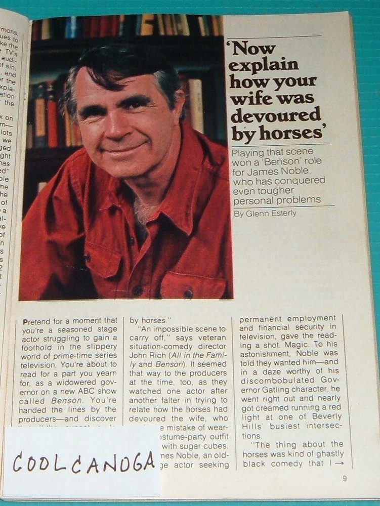 1982 TV ARTICLE ~ ACTOR JAMES NOBLE BENSON TELEVISION SERIES