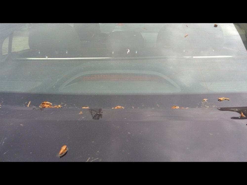 FORTE     2017 High Mounted Stop Light 1001617