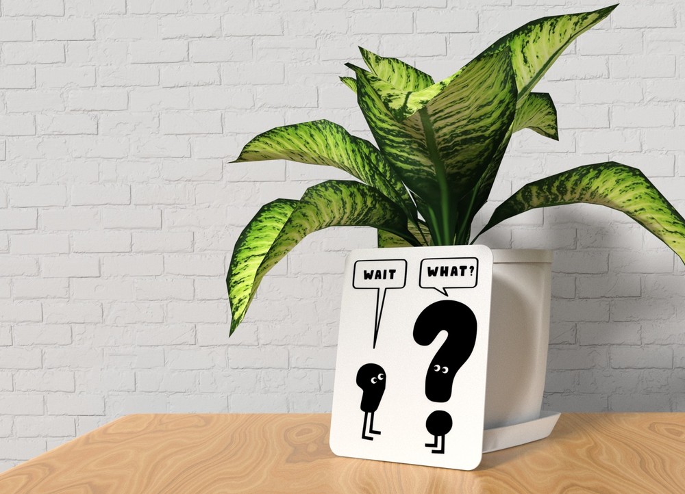 Wait And What | Funny sign For Home or Office