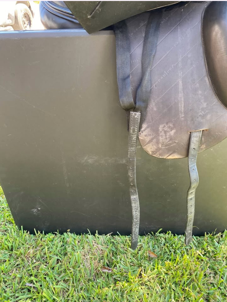 Dressage Saddle 17.5 - Dominus