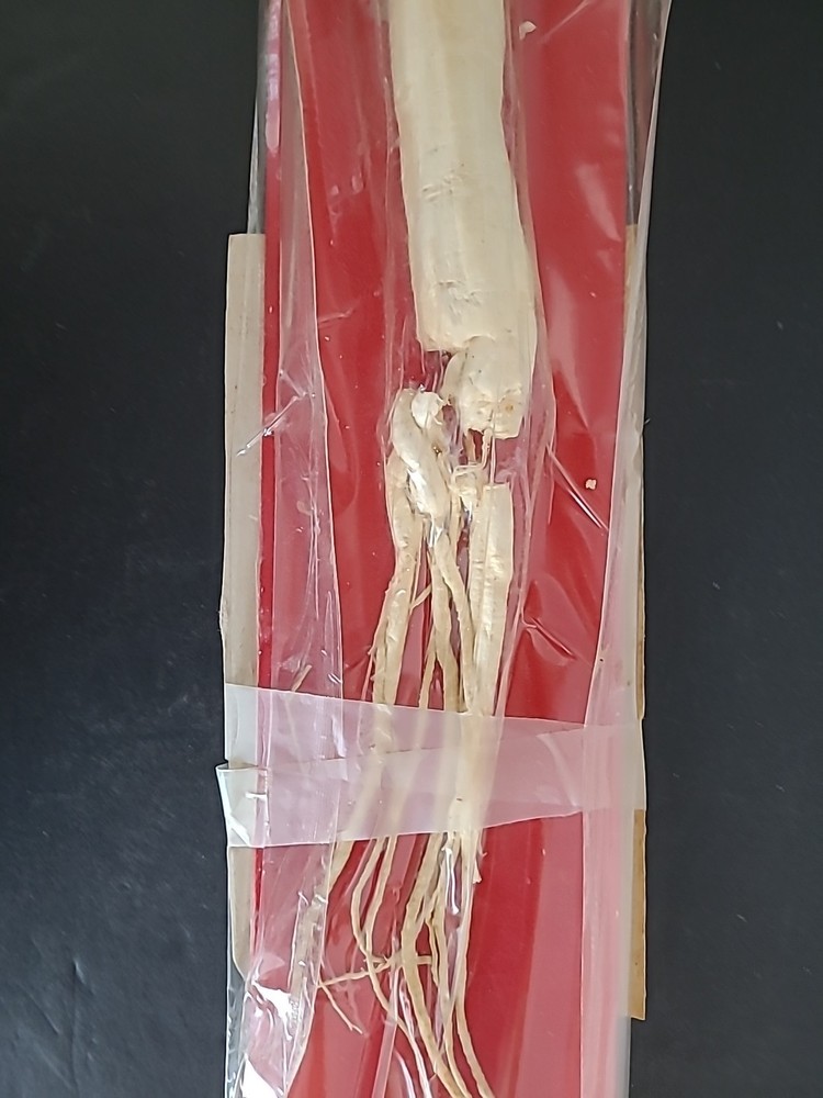 Vintage Ginseng Root Packged