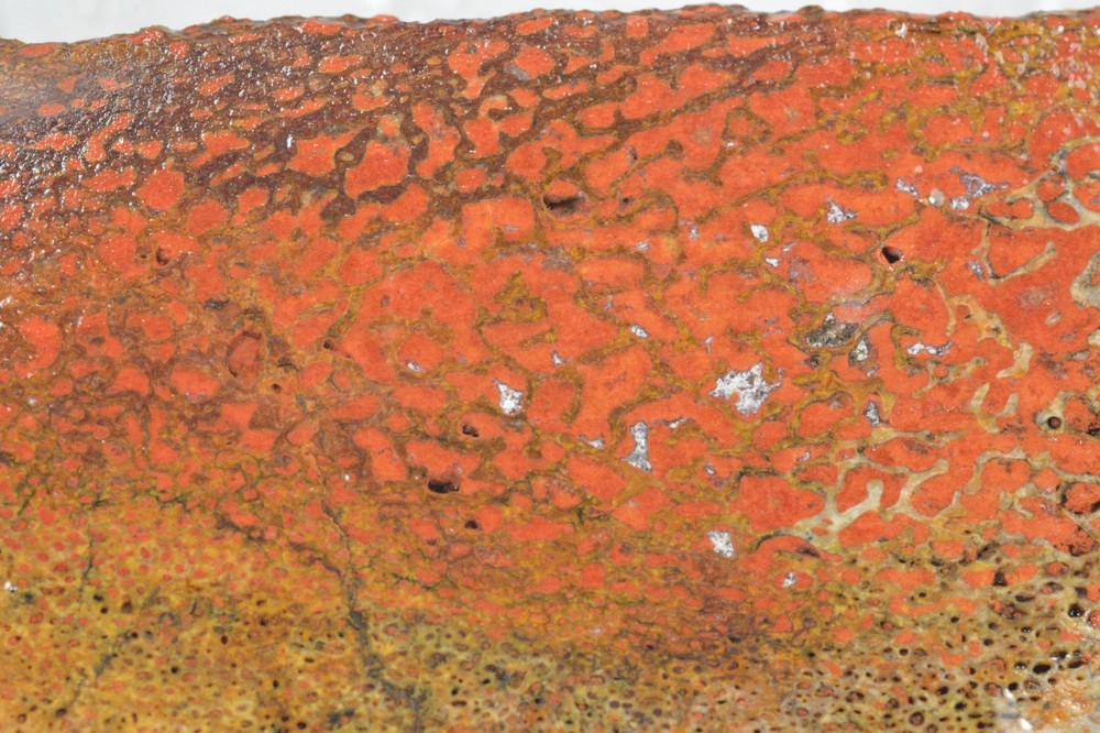 Orange Agatized Dinosaur Bone, New Mexico, 95 grams