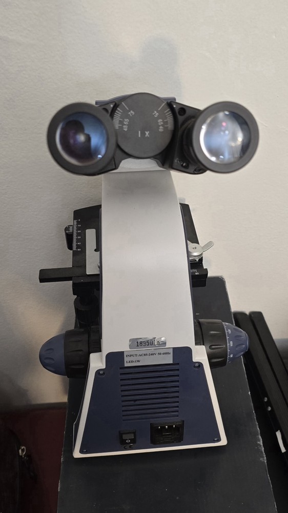 Swift SW380B Compound Microscope