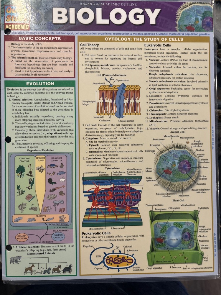 BarCharts 9781423219538 Biology Quickstudy Easel