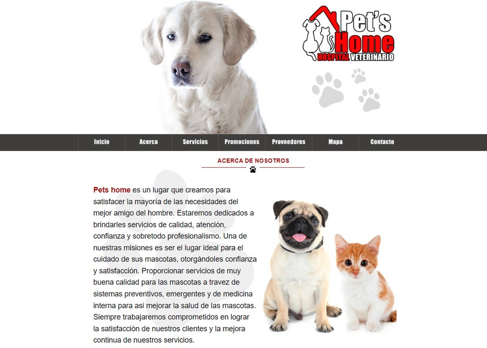 CUSTOM WEBSITE DESIGN WORDPRESS WEB DESIGN PACKAGE - PROFESSIONAL & MOBILE READY