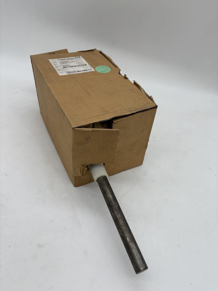 Endress+Hauser Solicap FTC51-DG1AA51E4 L=250mm