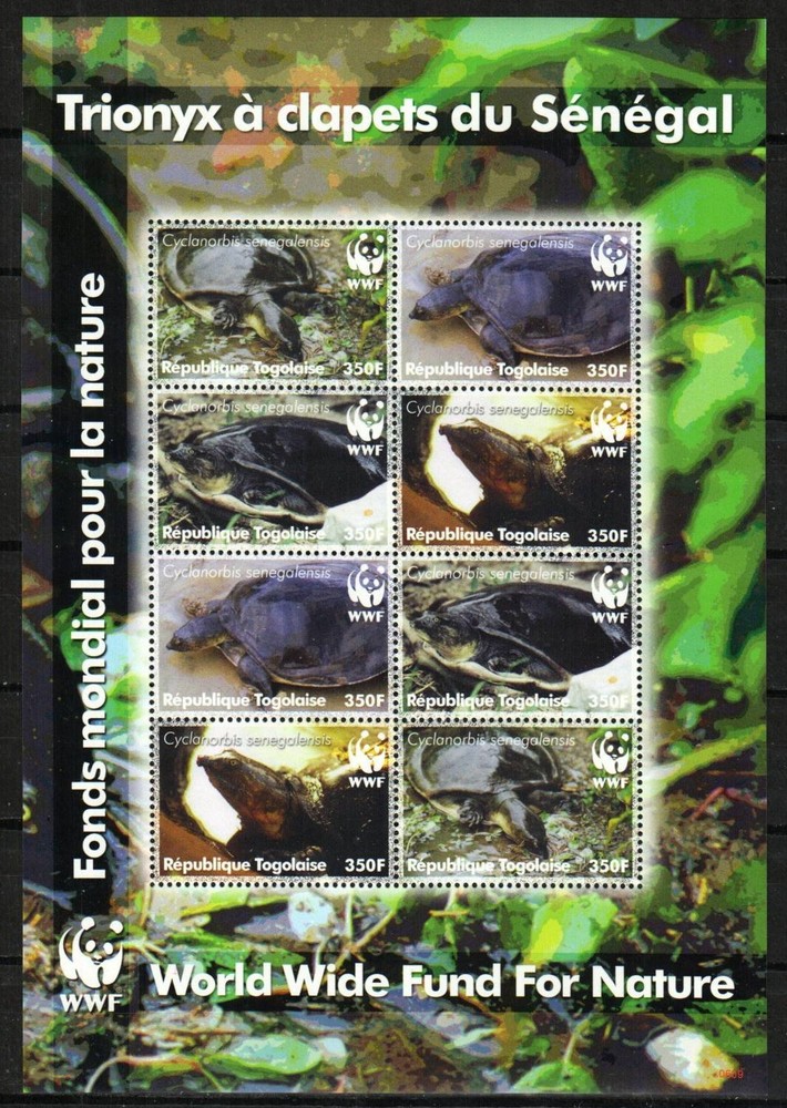 Togo Stamp 2039a  - Senegal flapshell turtle-WWF