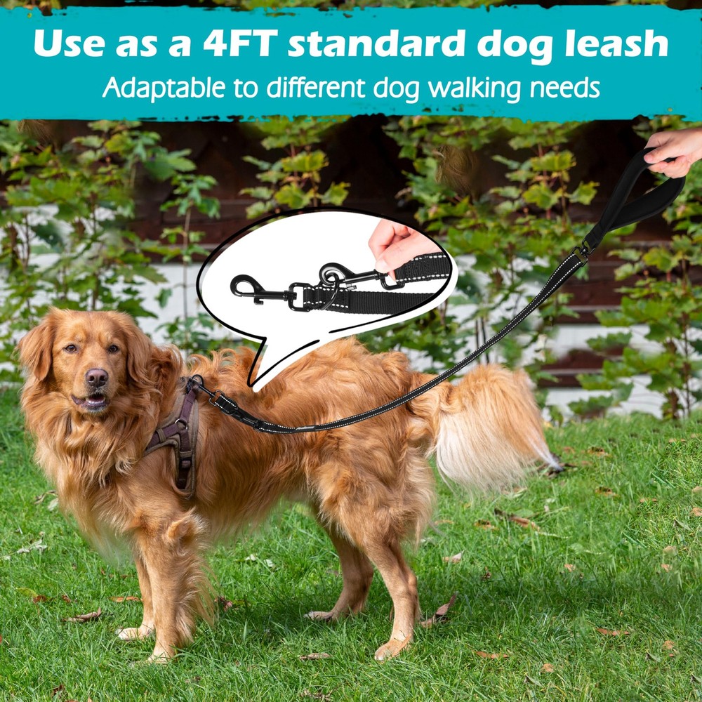 Two Point Control Dog Leash, Works with No Pull Harnesses, No Tangle Training...