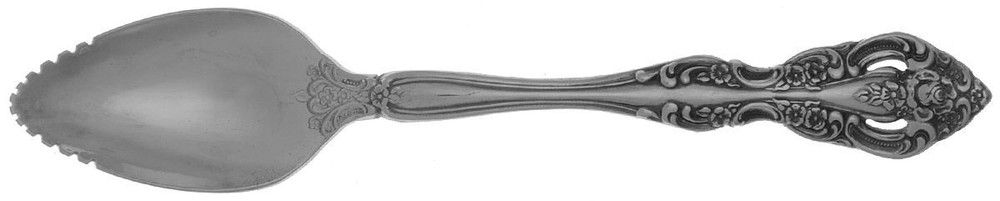 Oneida Silver Michelangelo Fruit Orange Spoon 497082