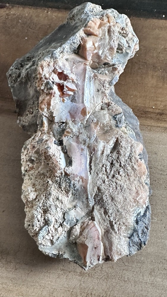 Opalized Petrified Wood For Display Specimen Rough Navada USA