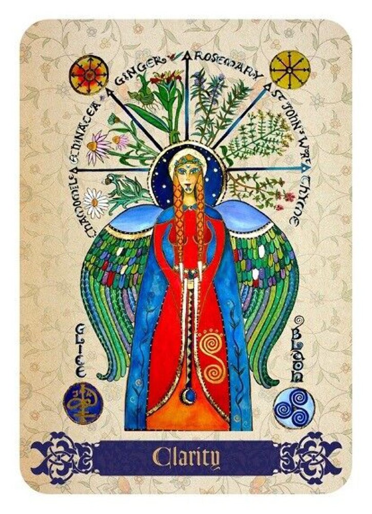 Enchanted Oracle Cards Deck Rockpool Publishing Medieval Hedges