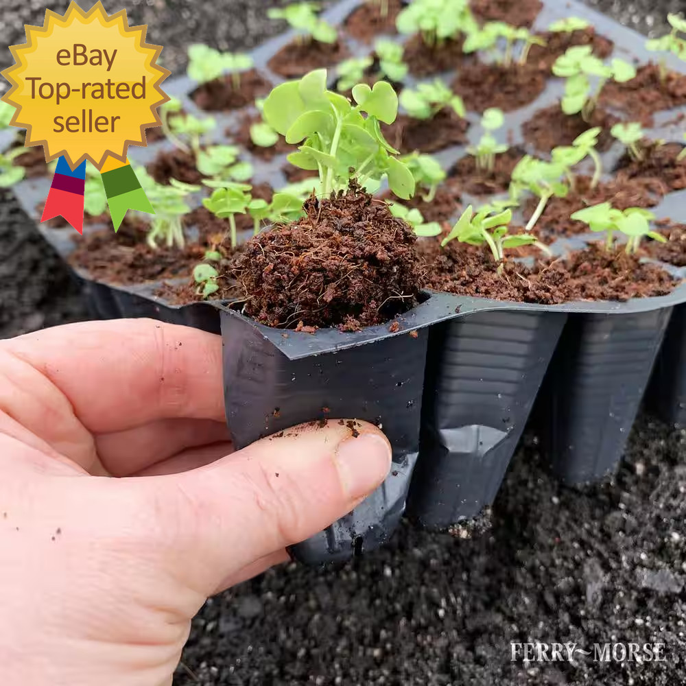 Pro-Hex Seed Starting Tray Kit