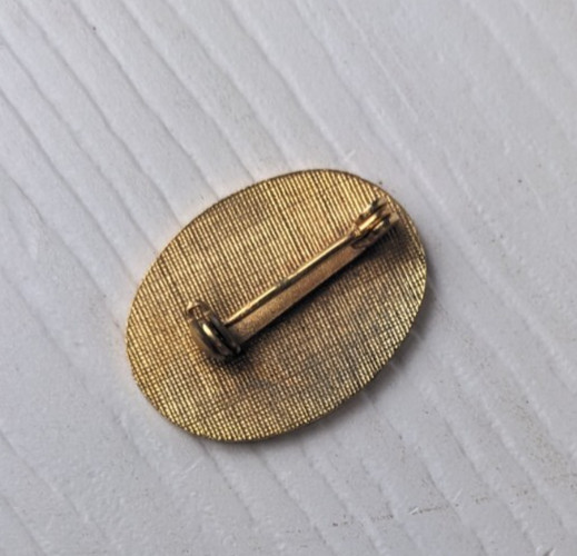 I'm A Canadian Ski Nut Ski Pin