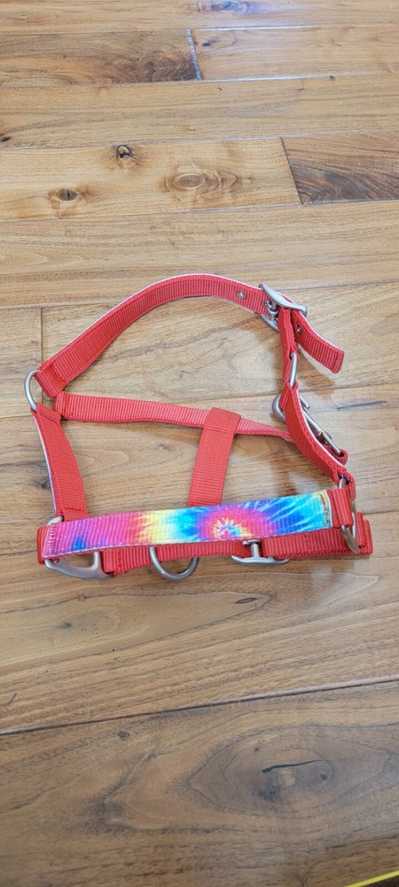 Rainbow Tie Dye Pony Halter Red Nylon Tack