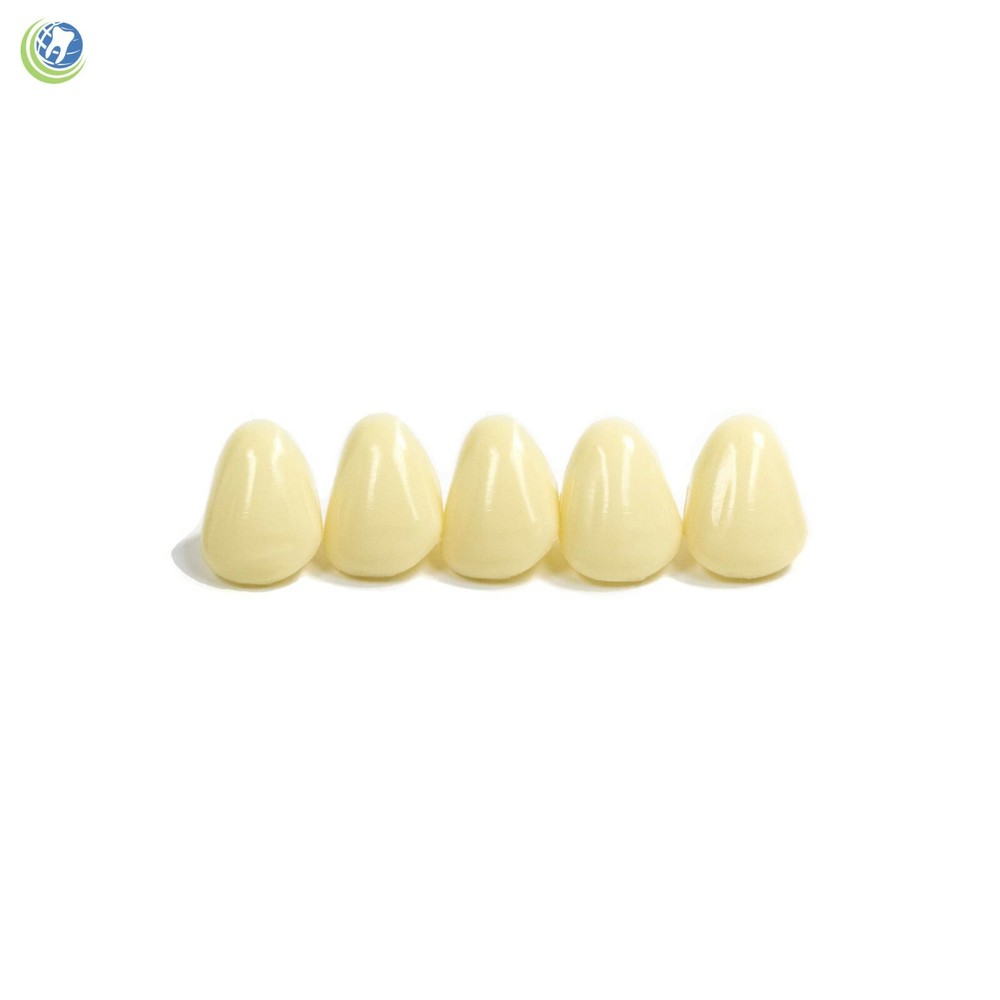 DENTAL POLYCARBONATE TEMPORARY CROWNS #21 (URL) UPPER RIGHT LATERAL 5/PACK