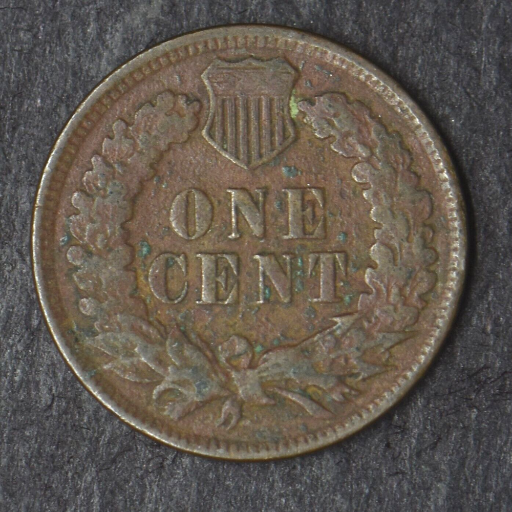 1899 Indian Head Cent - COINGIANTS -